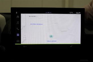 Dacia Spring  picture 13