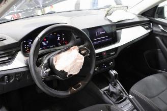 Skoda Kamiq  picture 10