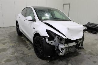 Tesla Model Y  picture 2