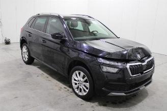 Skoda Kamiq  picture 2