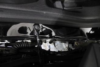 Renault Austral  picture 24