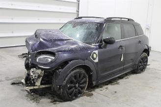 Coche siniestrado Mini Cooper _COUNTRYMAN 2023/6