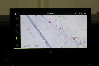 Dacia Duster  picture 13