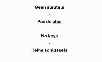 Renault Trafic  picture 10