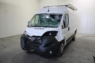 Autoverwertung Opel Movano  2024/2