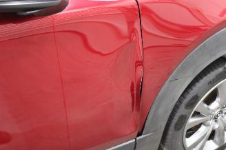 Mazda CX-30  picture 24