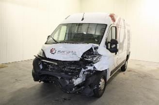 Unfallwagen Opel Movano  2024/2