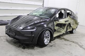 škoda osobní automobily Tesla Model Y  2025/4