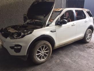 Dezmembrări autoturisme Land Rover Discovery Sport 2000CC - 110KW - DIESEL 2016/1