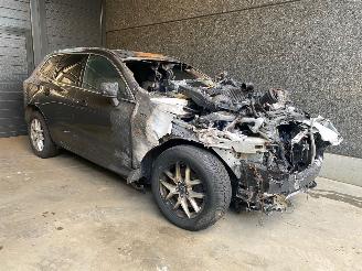 Coche siniestrado Volvo Xc-60 XC60 II (UZ) SUV 2.0 D4 16V AWD SUV  Diesel 1.969cc 140kW (190pk) 4x4 2019/1