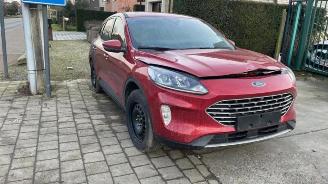 Autoverwertung Ford Kuga Kuga III (DFK), SUV, 2019 1.5 EcoBlue 2020/7