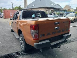 Dezmembrări autoturisme Ford Ranger Ranger, Pick-up, 2011 2.0 EcoBlue 16V 4x4 2019/9