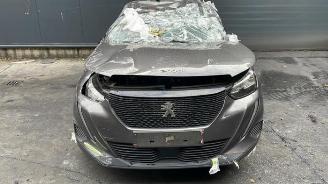 Dezmembrări autoturisme Peugeot 2008 2008 (UD/UK/UR/US/UX), MPV, 2019 1.5 BlueHDi 110 2022/1