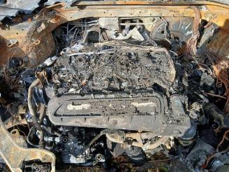 Audi Rs3 RS 3 Sportback (8VA/8VF), Hatchback 5-drs, 2015 / 2020 2.5 TFSI 20V Quattro picture 19