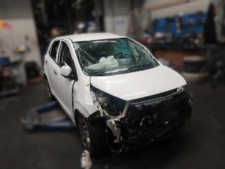 Purkuautot passenger cars Kia Picanto Picanto (JA), Hatchback, 2017 1.2 CVVT 16V 2019/8