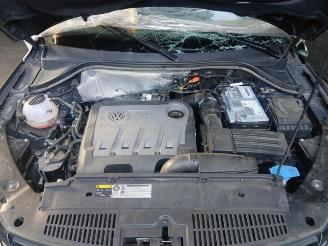Volkswagen Tiguan Tiguan (5N1/2), SUV, 2007 / 2018 2.0 TDI 16V 4Motion picture 19