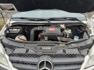 Mercedes Sprinter Sprinter 3,5t (906.13/906.23), Ch.Cab/Pick-up, 2006 / 2018 313 CDI 16V picture 14