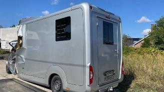Coche siniestrado Renault Master Master III (EV/HV/UV/VA/VB/VD/VF/VG/VJ), Chassis-Cabine, 2010 2.3 dCi 165 16V FWD 2024/5