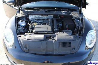 Volkswagen Beetle 5C picture 8