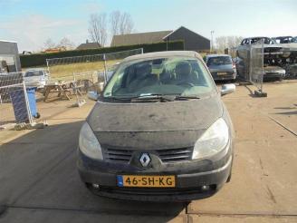 Vrakbiler auto Renault Grand-scenic Grand Scenic II (JM), MPV, 2004 / 2009 1.9 dCi 130 2006/1