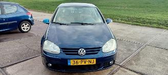  Volkswagen Golf  2005/1