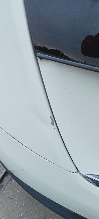 Lancia Delta  picture 14