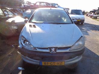 occasione autovettura Peugeot 206  2001/3