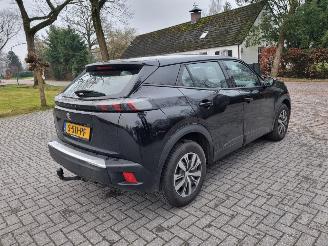 Peugeot 2008 Puretech Navi Camera picture 5