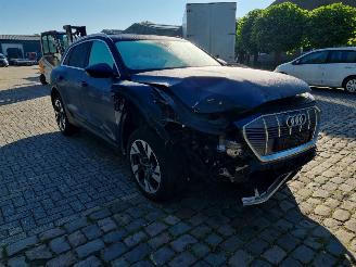 Audi E-tron 50 Quattro 71Kwh Stoelverw. picture 7