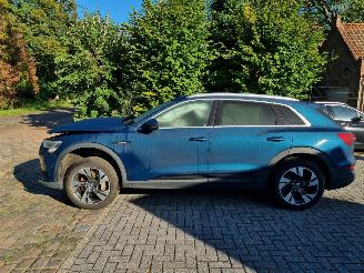 Audi E-tron 50 Quattro 71Kwh Stoelverw. picture 2
