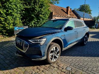 uszkodzony samochody osobowe Audi E-tron 50 Quattro 71Kwh Stoelverw. 2020/4