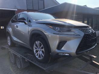 Damaged car Lexus NX NX300 AWD 2020/6