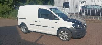 uszkodzony samochody osobowe Volkswagen   2016/1