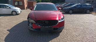 Mazda  Cx-30 Executive-Line Navi Leder-memory Climatecontrol CruiseControl Stoelverwarming Lichtautomaat Privacyglas keyless Entry Blindspot Drivelane Achteruitrijcamera Elektrische achterklep Led koplampen led achterlichten 18-inch Velgen picture 4