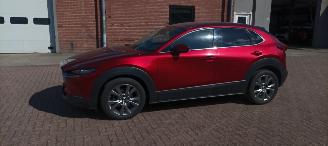Mazda  Cx-30 Executive-Line Navi Leder-memory Climatecontrol CruiseControl Stoelverwarming Lichtautomaat Privacyglas keyless Entry Blindspot Drivelane Achteruitrijcamera Elektrische achterklep Led koplampen led achterlichten 18-inch Velgen picture 6