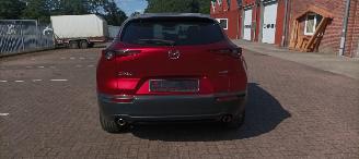 Mazda  Cx-30 Executive-Line Navi Leder-memory Climatecontrol CruiseControl Stoelverwarming Lichtautomaat Privacyglas keyless Entry Blindspot Drivelane Achteruitrijcamera Elektrische achterklep Led koplampen led achterlichten 18-inch Velgen picture 10