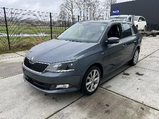 Vaurioauto  passenger cars Skoda Fabia 1.0 95 PK  NAVI-PDC 2018/1