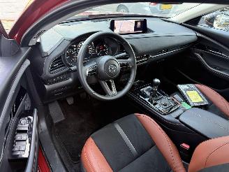 Mazda CX-30 2.5 e -SkyActive-G M Hybrid Nagisa-LEDER-CAMERA-HUD-NAVI-PDC picture 3