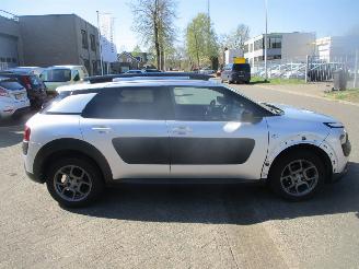 Citroën C4 cactus PURETECH BUSINESS CLIMA NAVI CLIMA  PANO picture 5