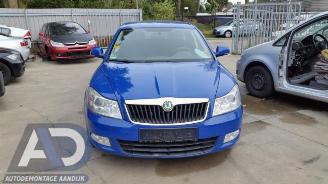 Skoda Octavia Octavia Combi (1Z5), Combi 5-drs, 2004 / 2013 1.9 TDI picture 2