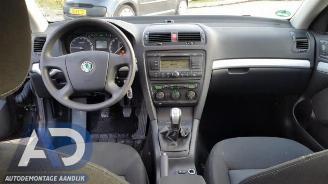 Skoda Octavia Octavia Combi (1Z5), Combi 5-drs, 2004 / 2013 1.9 TDI 4x4 picture 9