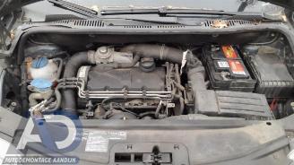 Volkswagen Caddy Caddy Combi III (2KB,2KJ), MPV, 2004 / 2015 1.9 TDI picture 15