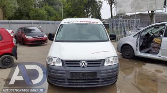 Volkswagen Caddy Caddy III (2KA,2KH,2CA,2CH), Van, 2004 / 2015 2.0 SDI picture 2