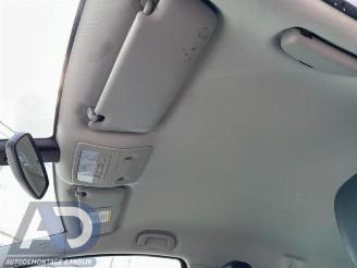 Opel Meriva Meriva, MPV, 2010 / 2017 1.4 Turbo 16V ecoFLEX picture 20