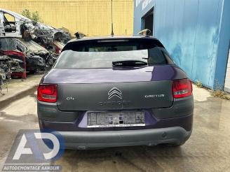 Citroën C4 cactus C4 Cactus (0B/0P), Hatchback 5-drs, 2014 1.2 PureTech 82 12V picture 6