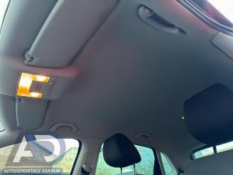 Volkswagen Polo Polo V (6R), Hatchback, 2009 / 2017 1.2 12V BlueMotion Technology picture 19