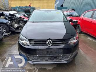 Volkswagen Polo Polo V (6R), Hatchback, 2009 / 2017 1.2 12V BlueMotion Technology picture 2