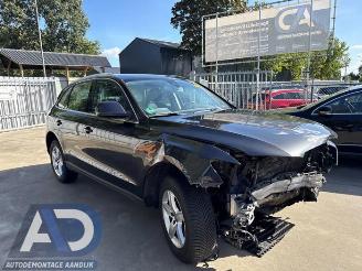 Audi Q5 Q5 (8RB), SUV, 2008 / 2017 2.0 TDI 16V Quattro picture 3