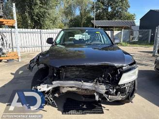 Audi Q5 Q5 (8RB), SUV, 2008 / 2017 2.0 TDI 16V Quattro picture 2