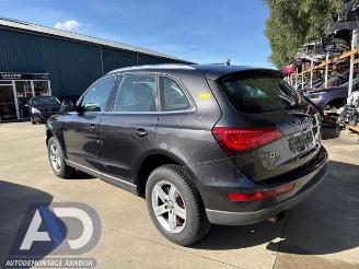 Audi Q5 Q5 (8RB), SUV, 2008 / 2017 2.0 TDI 16V Quattro picture 7